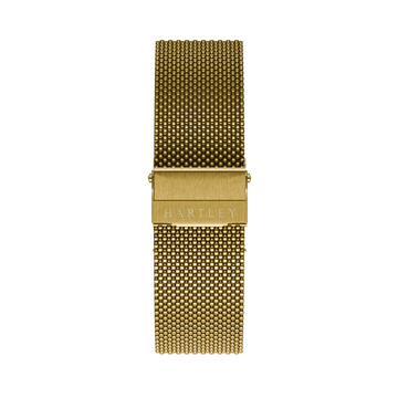 Gold Mesh Interchangeable Strap